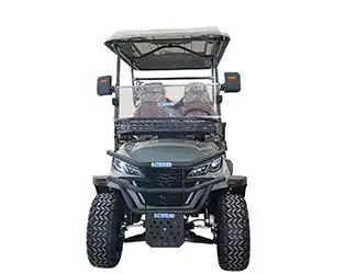 What Is 4 person electric golf cart Seating Design Explained